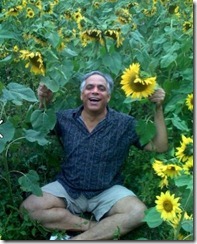 sunflowerman
